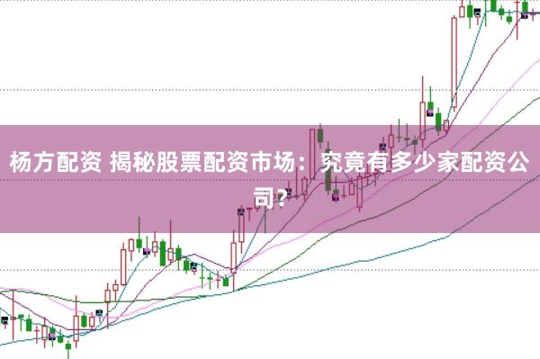 杨方配资 揭秘股票配资市场：究竟有多少家配资公司？