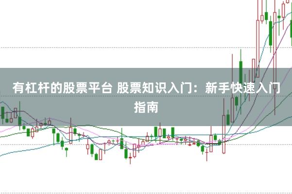 有杠杆的股票平台 股票知识入门：新手快速入门指南