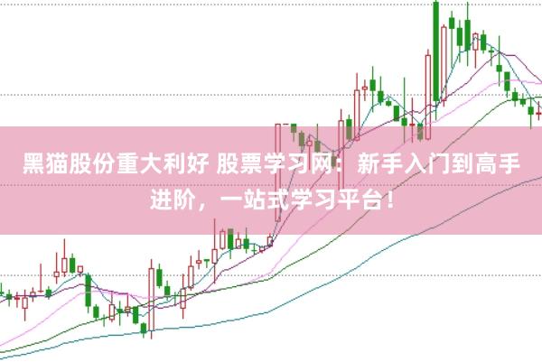 黑猫股份重大利好 股票学习网：新手入门到高手进阶，一站式学习平台！