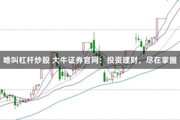 啥叫杠杆炒股 大牛证券官网：投资理财，尽在掌握