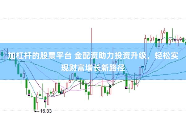 加杠杆的股票平台 金配资助力投资升级，轻松实现财富增长新路径
