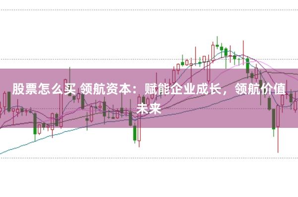 股票怎么买 领航资本：赋能企业成长，领航价值未来