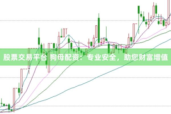 股票交易平台 狗母配资：专业安全，助您财富增值