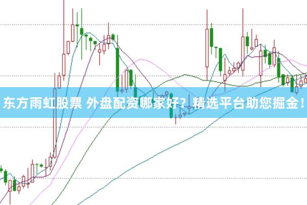 东方雨虹股票 外盘配资哪家好？精选平台助您掘金！