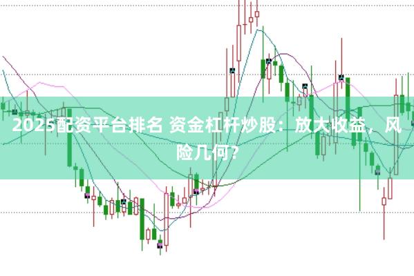 2025配资平台排名 资金杠杆炒股：放大收益，风险几何？