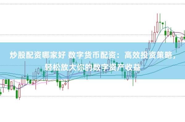 炒股配资哪家好 数字货币配资：高效投资策略，轻松放大你的数字资产收益