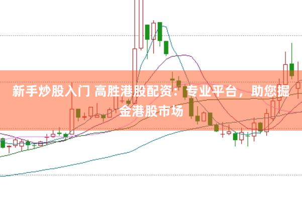 新手炒股入门 高胜港股配资：专业平台，助您掘金港股市场