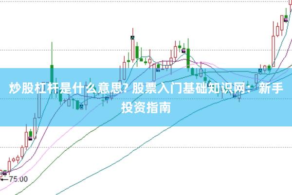 炒股杠杆是什么意思? 股票入门基础知识网：新手投资指南