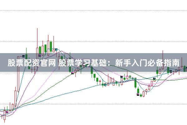 股票配资官网 股票学习基础：新手入门必备指南