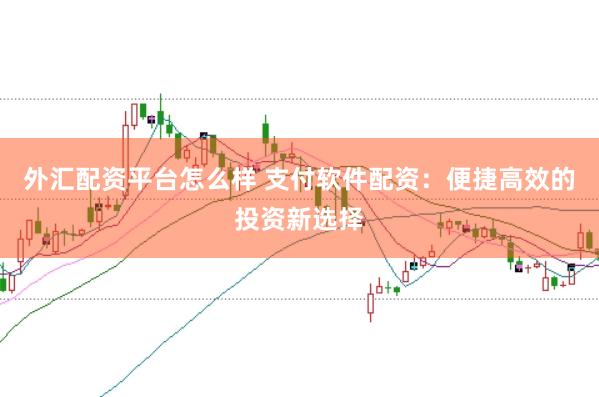 外汇配资平台怎么样 支付软件配资：便捷高效的投资新选择
