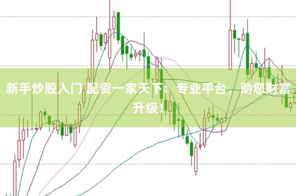 新手炒股入门 配资一家天下：专业平台，助您财富升级！