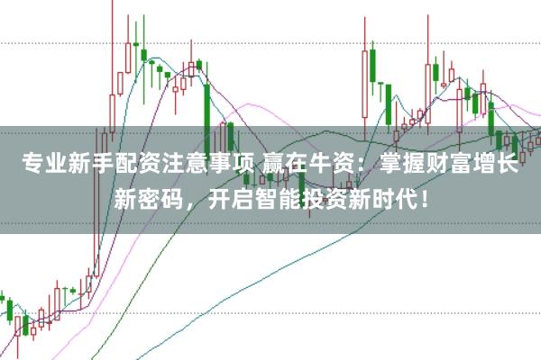 专业新手配资注意事项 赢在牛资：掌握财富增长新密码，开启智能投资新时代！