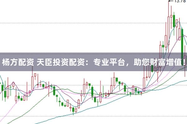 杨方配资 天臣投资配资：专业平台，助您财富增值！