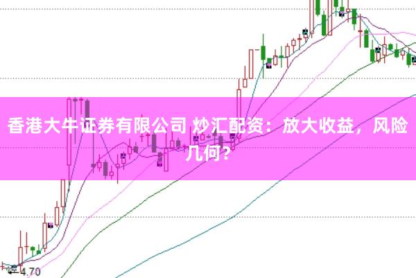 香港大牛证券有限公司 炒汇配资：放大收益，风险几何？
