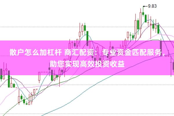 散户怎么加杠杆 商汇配资：专业资金匹配服务，助您实现高效投资收益