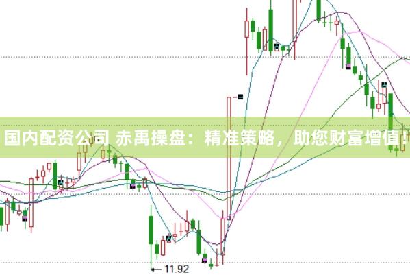 国内配资公司 赤禹操盘：精准策略，助您财富增值！