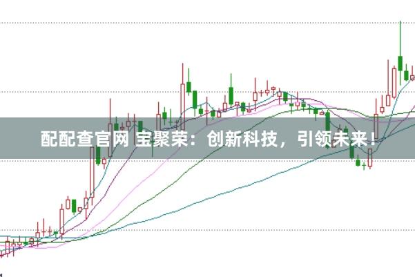 配配查官网 宝聚荣：创新科技，引领未来！