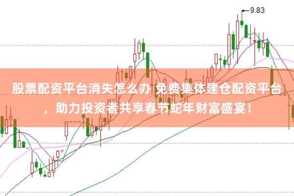股票配资平台消失怎么办 免费集体建仓配资平台,助力投资者共享春节蛇年财富盛宴!