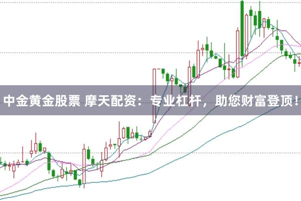 中金黄金股票 摩天配资:专业杠杆,助您财富登顶!