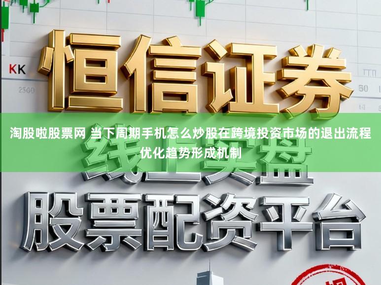 淘股啦股票网 当下周期手机怎么炒股在跨境投资市场的退出流程优化趋势形成机制