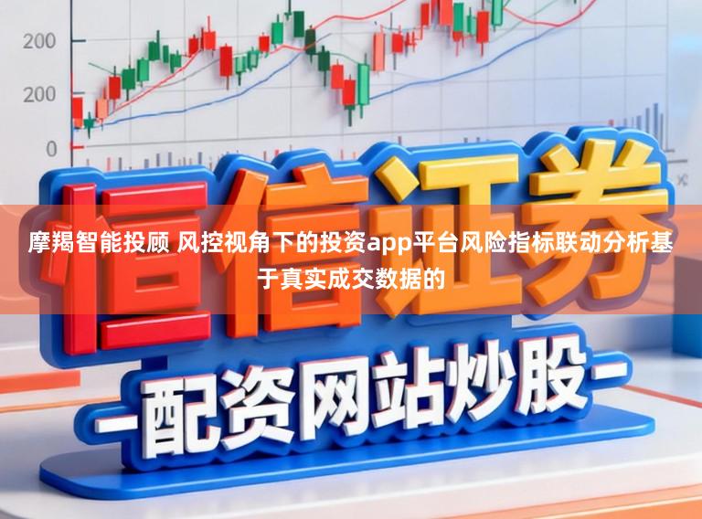 摩羯智能投顾 风控视角下的投资app平台风险指标联动分析基于真实成交数据的