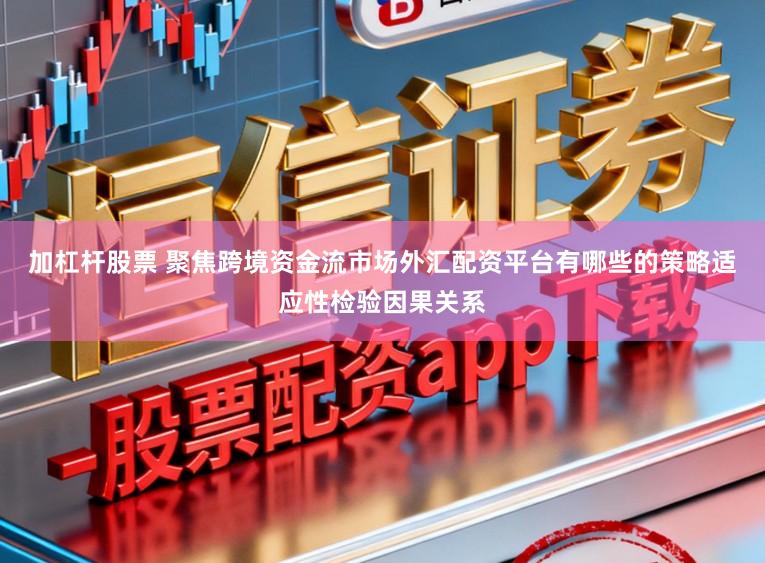 加杠杆股票 聚焦跨境资金流市场外汇配资平台有哪些的策略适应性检验因果关系